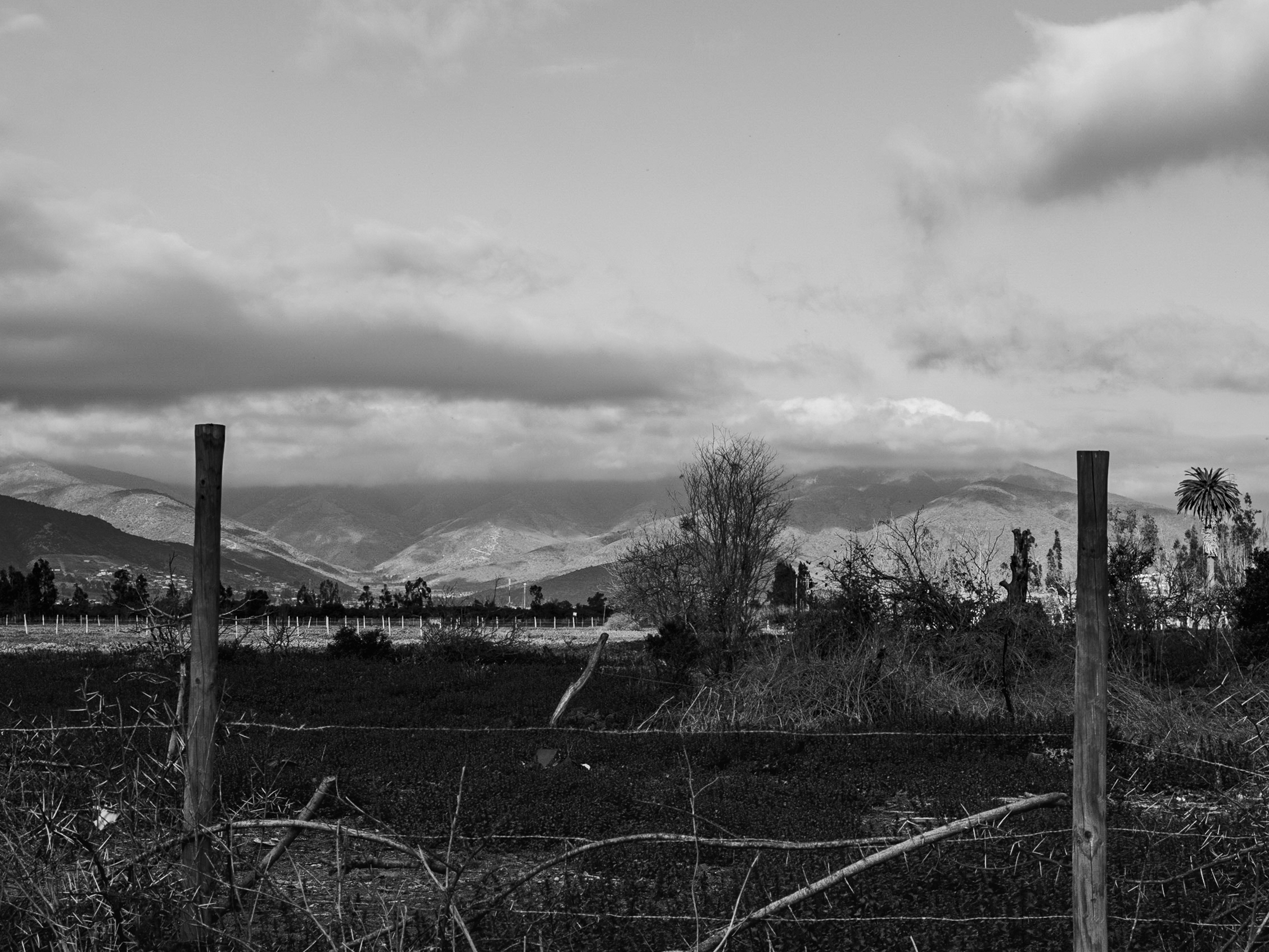 Los Andes