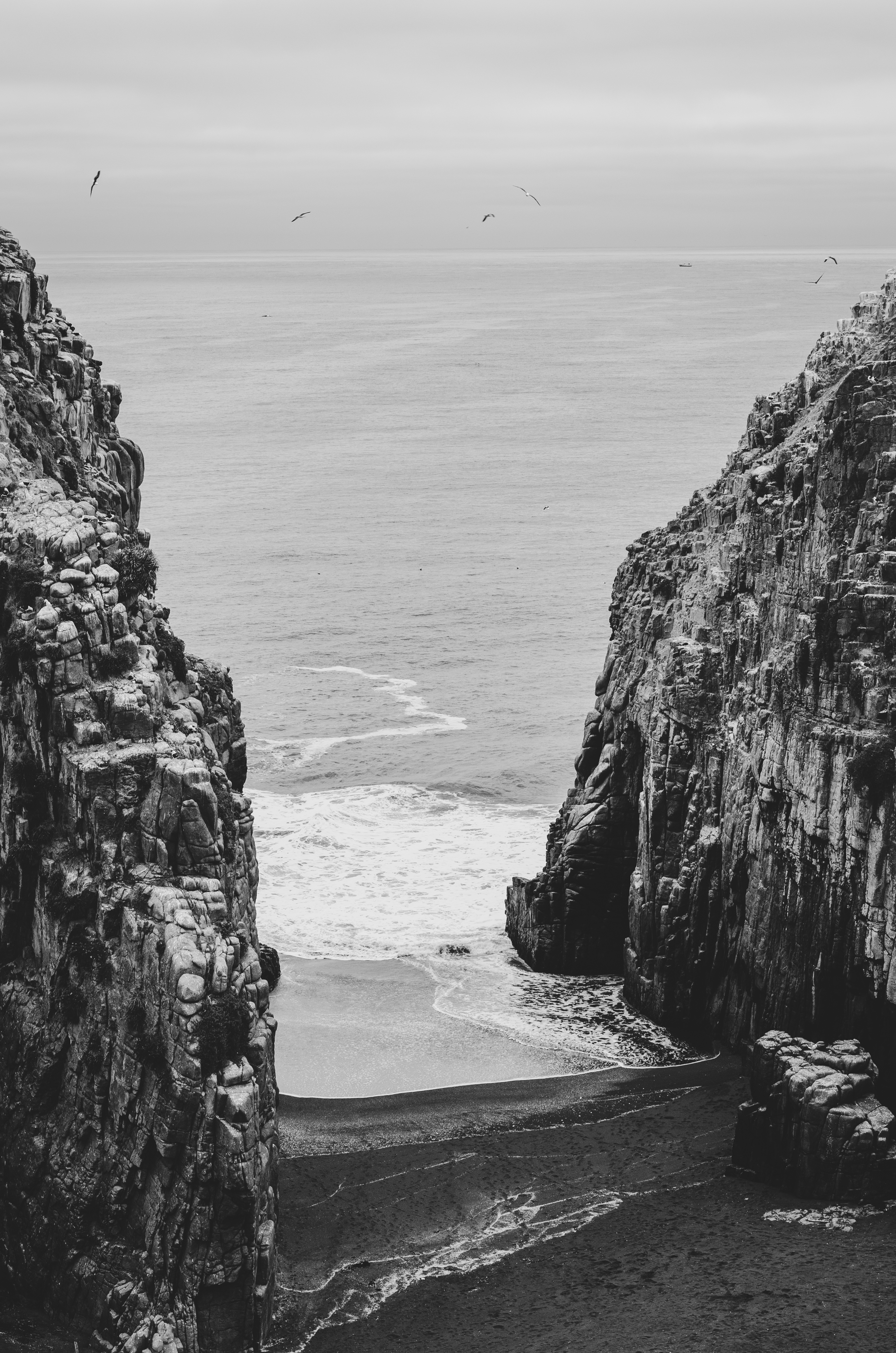 Paisaje costero en blanco y negro